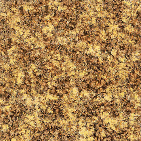 pg电子游戏2.0厚微晶石：浅金啡KFB88012单片