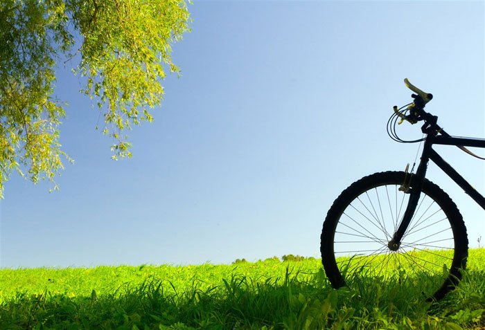 即即是春风十里，，依然不如你