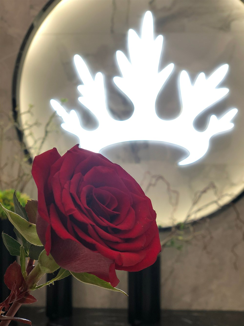 pg电子游戏(试玩)官方网站-APP下载