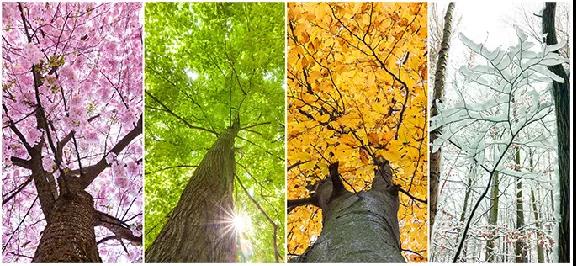 pg电子游戏(试玩)官方网站-APP下载